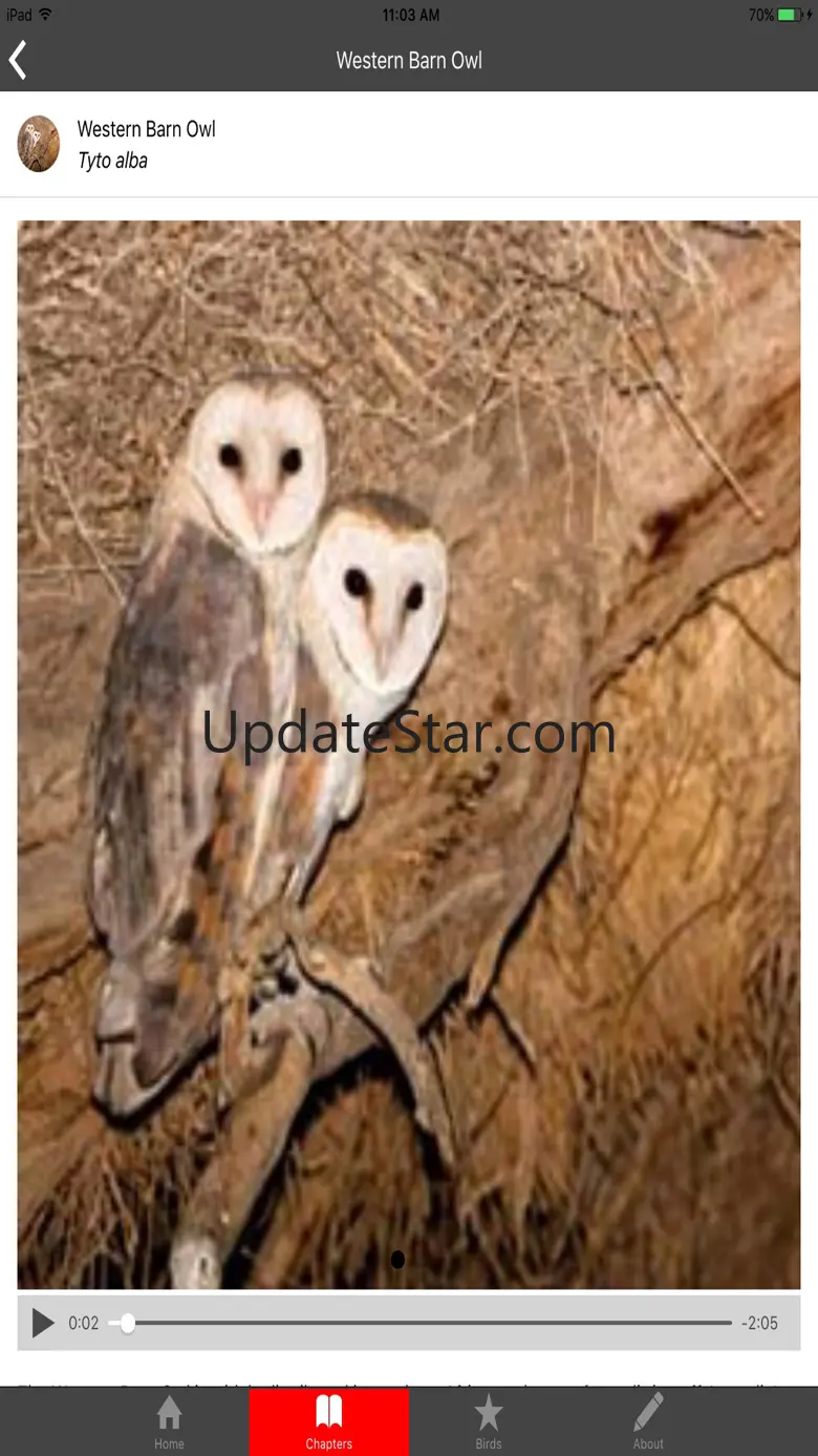 Birding In Southern Africa 1.2