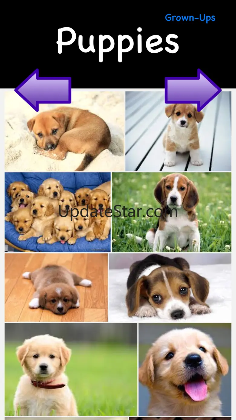 Puppies & Ponies: Kid Safe Image Browser 0.5