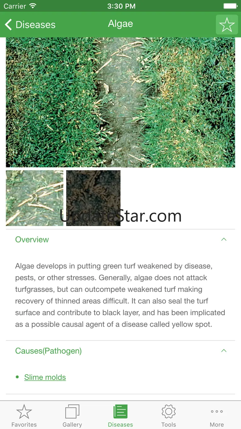 Turf MD 1.0