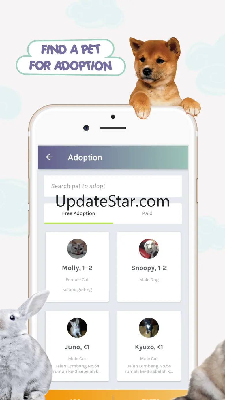 PETO - Pet Services + Adoption 324