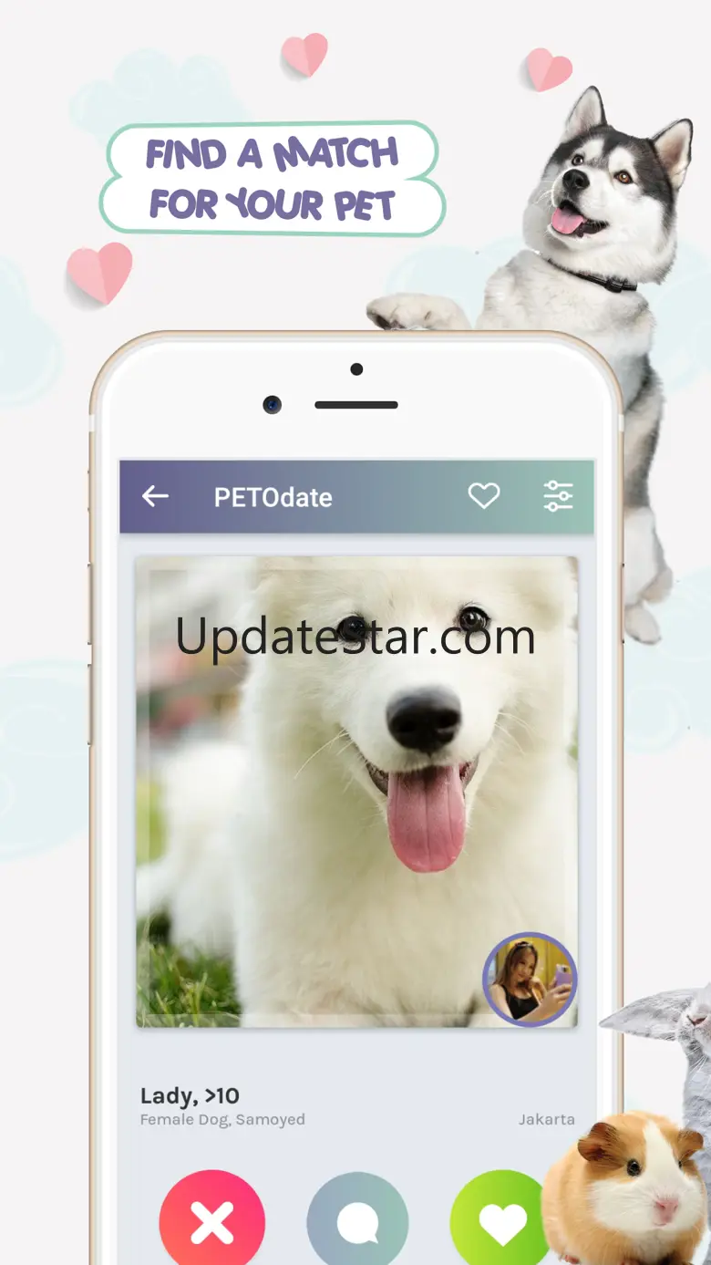 PETO - Pet Services + Adoption 324