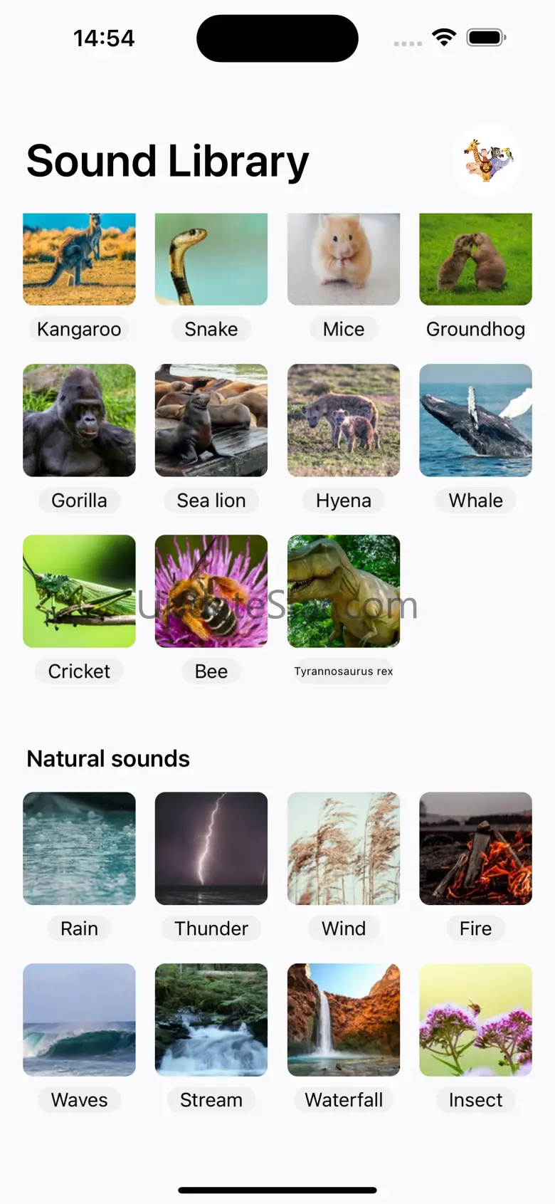 Animal Sounds - No Ads 1.3