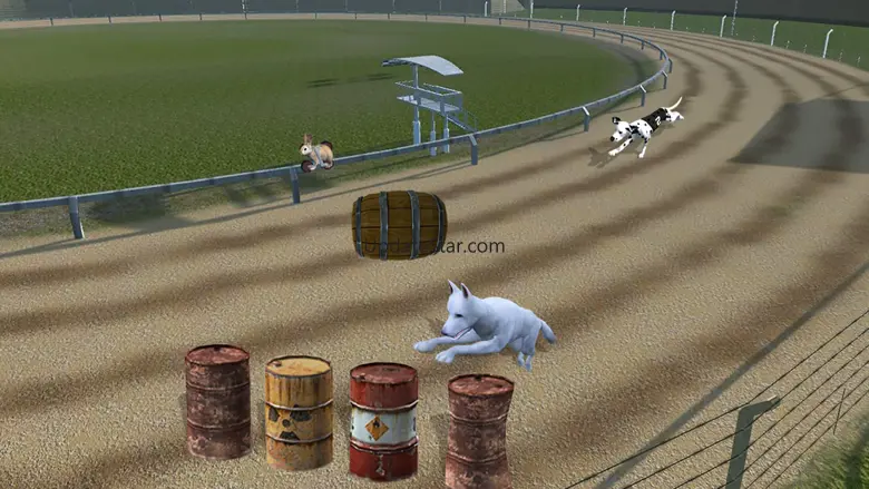 Crazy Dog Racing -Dog Games 3.0