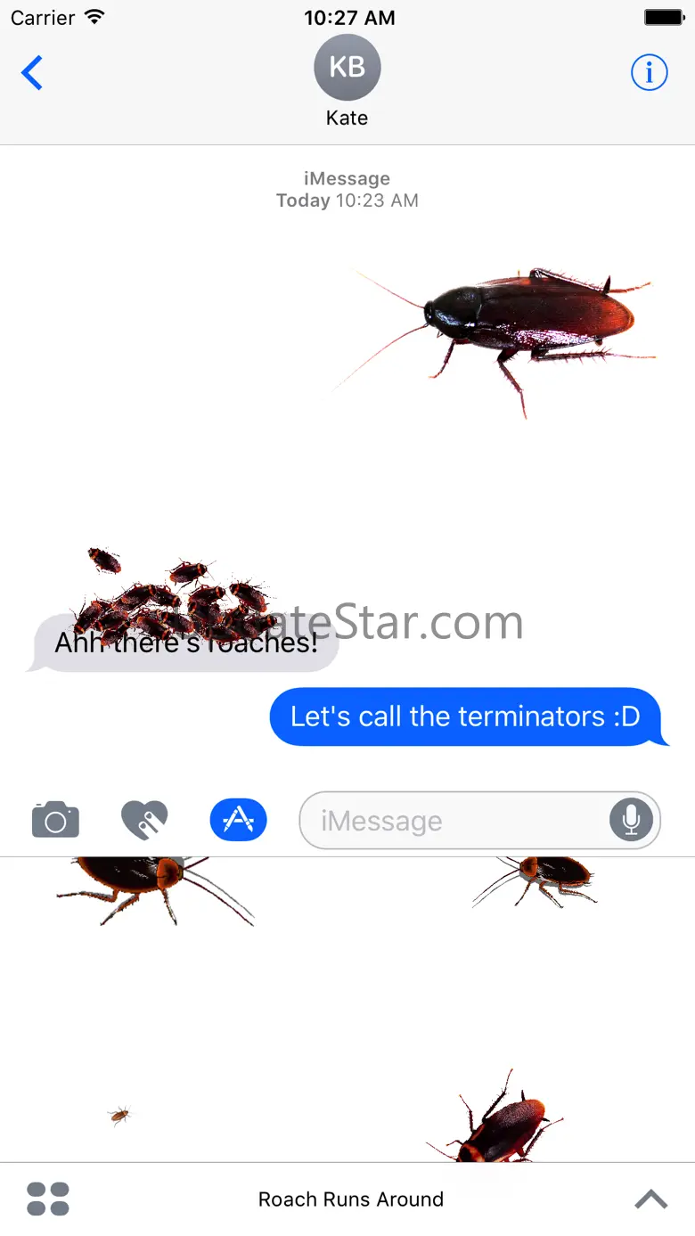 Cockroach's Head 2.6