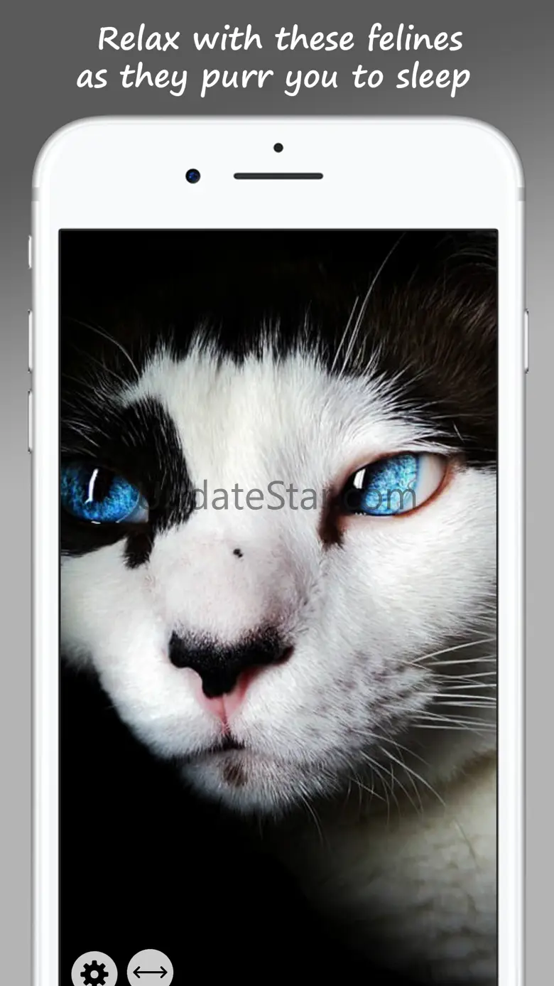 MeowPix: Relaxing Cat Slideshow with Music 1.2