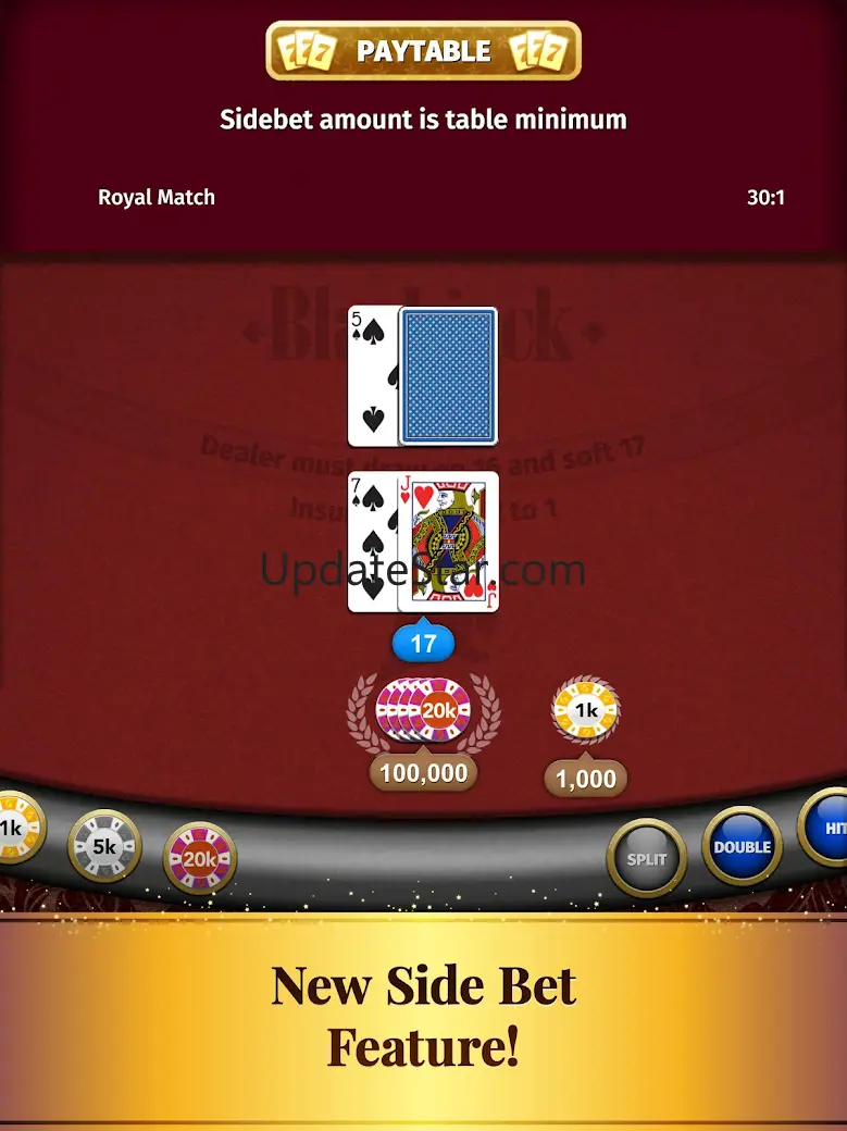 BlackJack card game 2021.11.0.2746