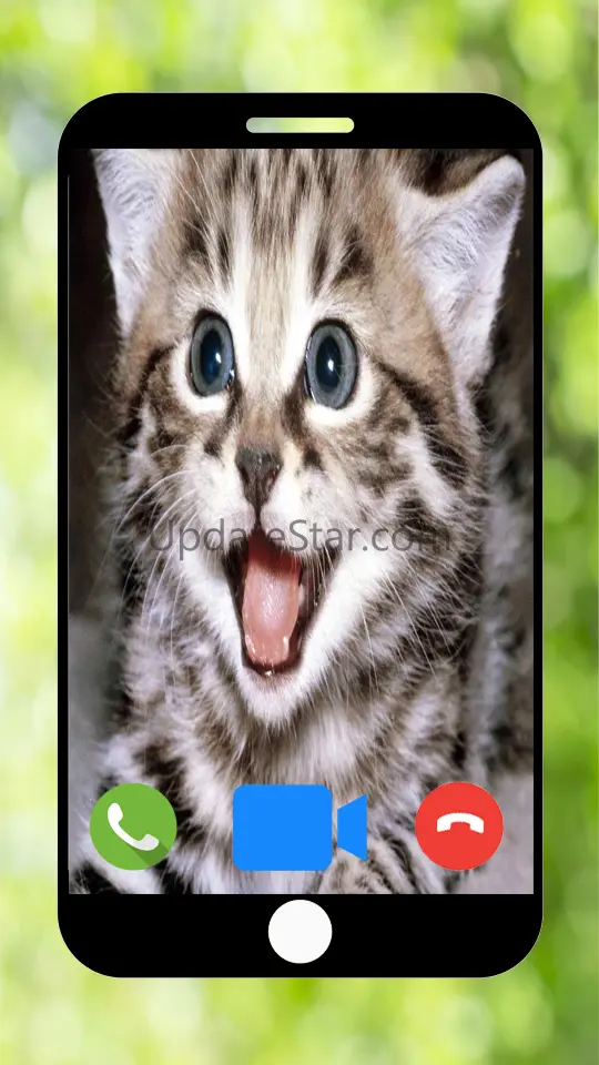 Fake Call from Cat - Prank Cal