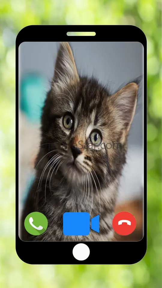 Fake Call from Cat - Prank Cal