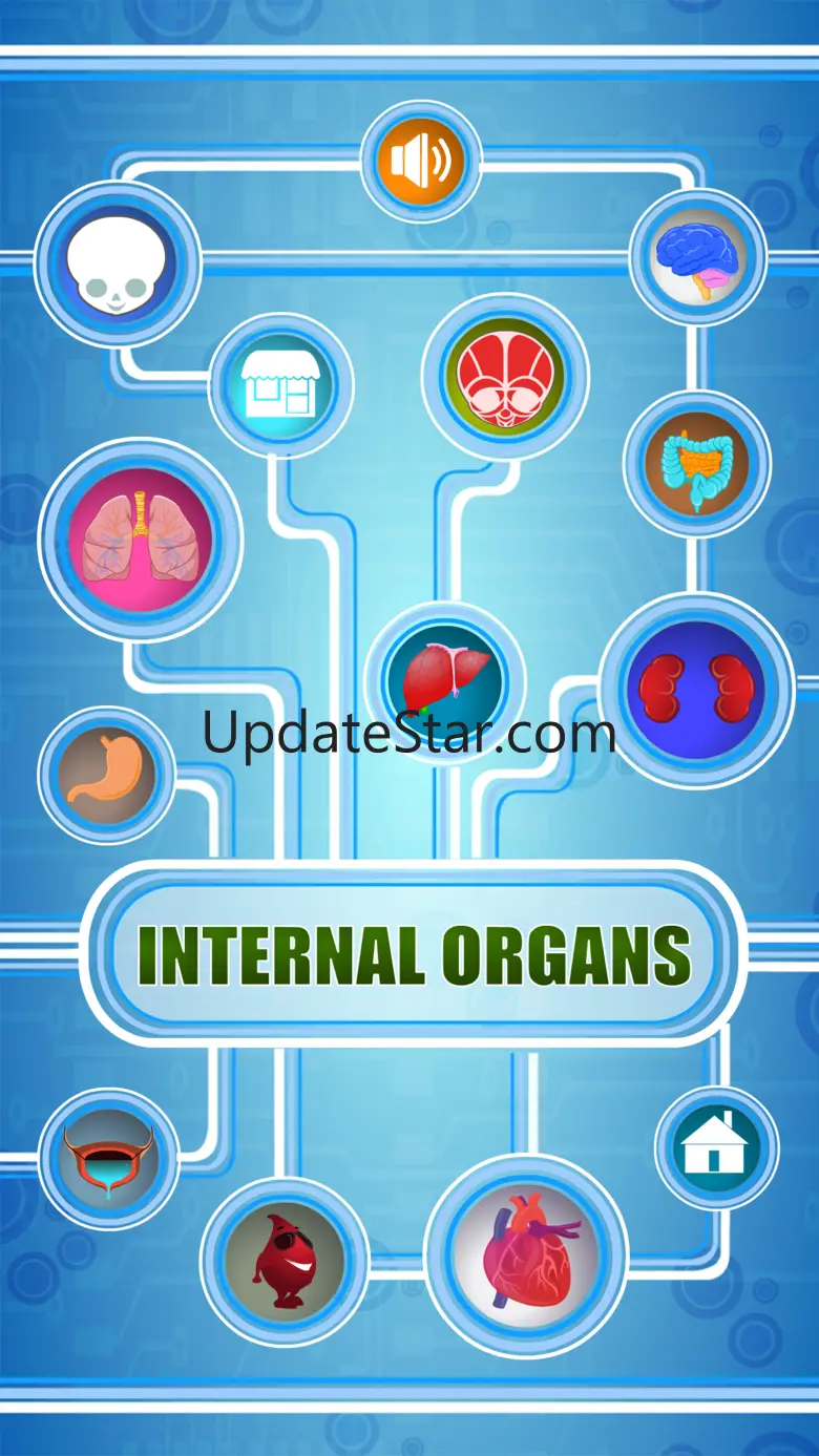 Human Body - Internal Organs 1.4