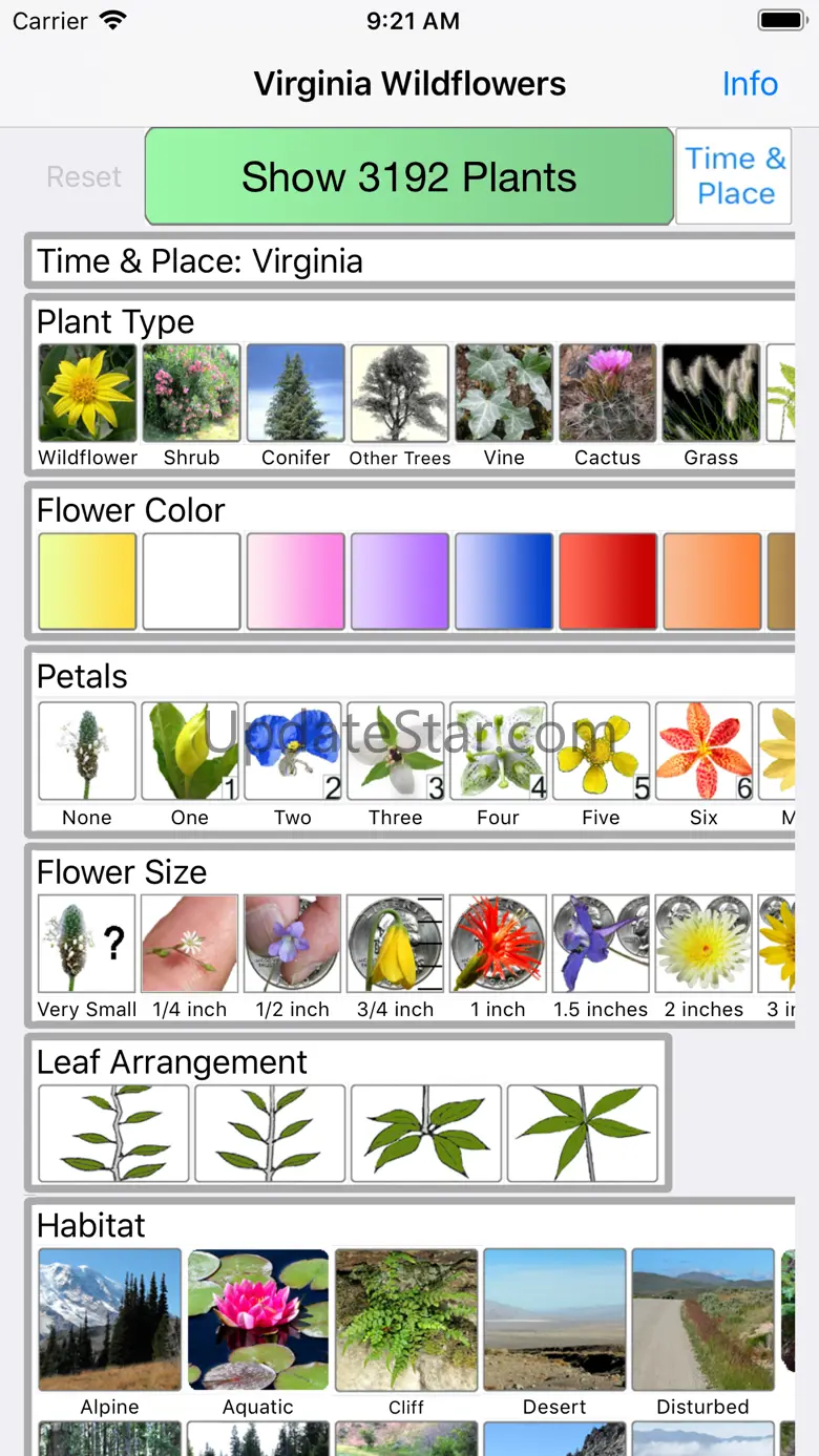 Virginia Wildflowers 9.1
