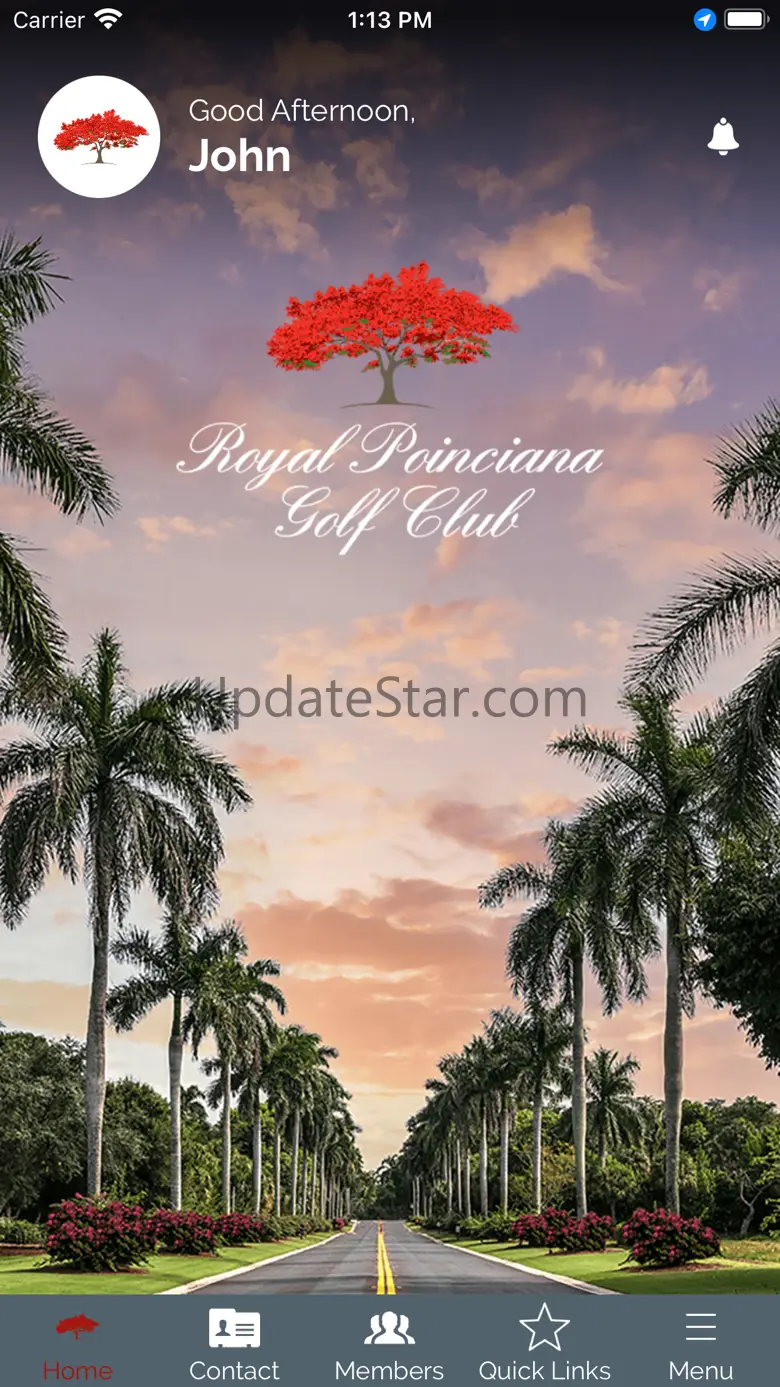Royal Poinciana 24.08.13