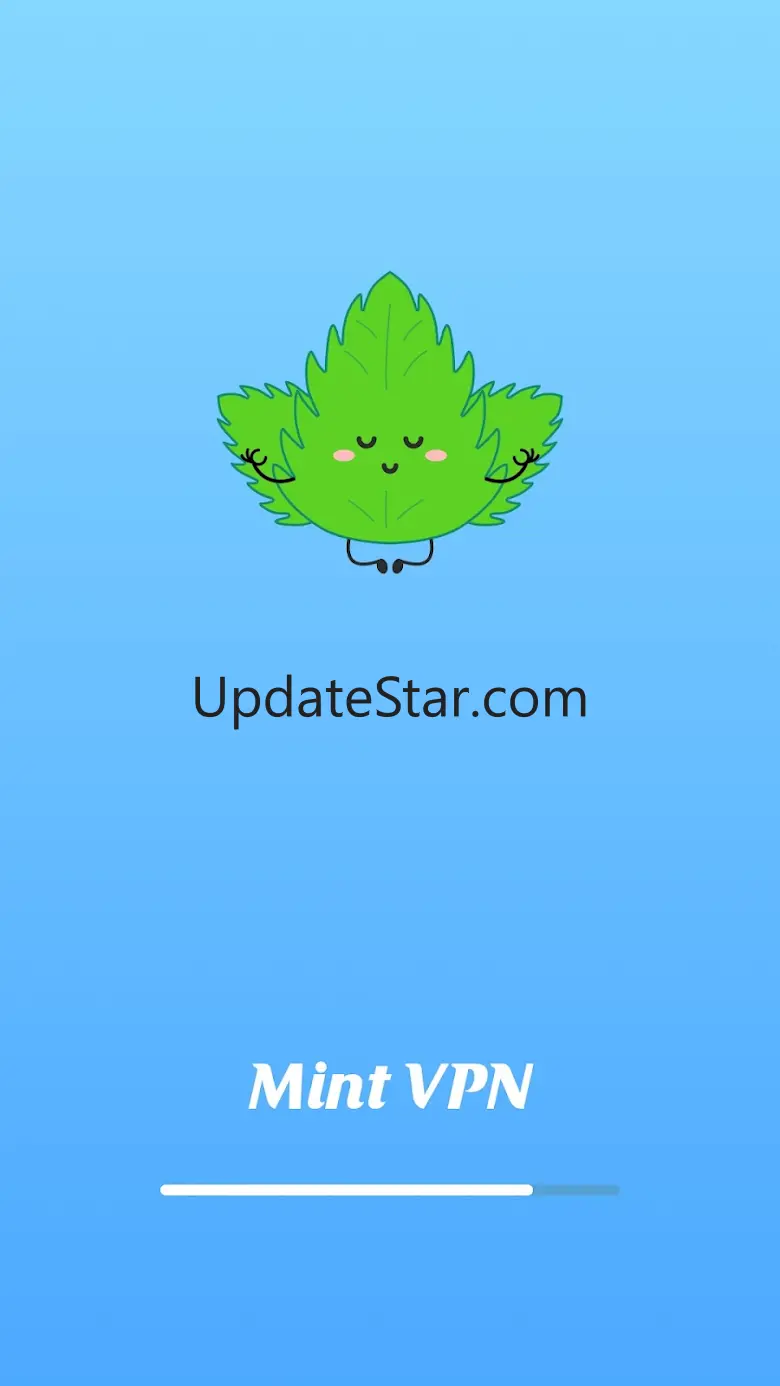 Mint VPN