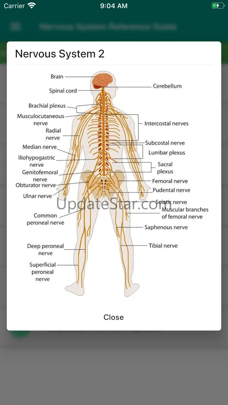 Nervous System Reference Guide 1.2.5