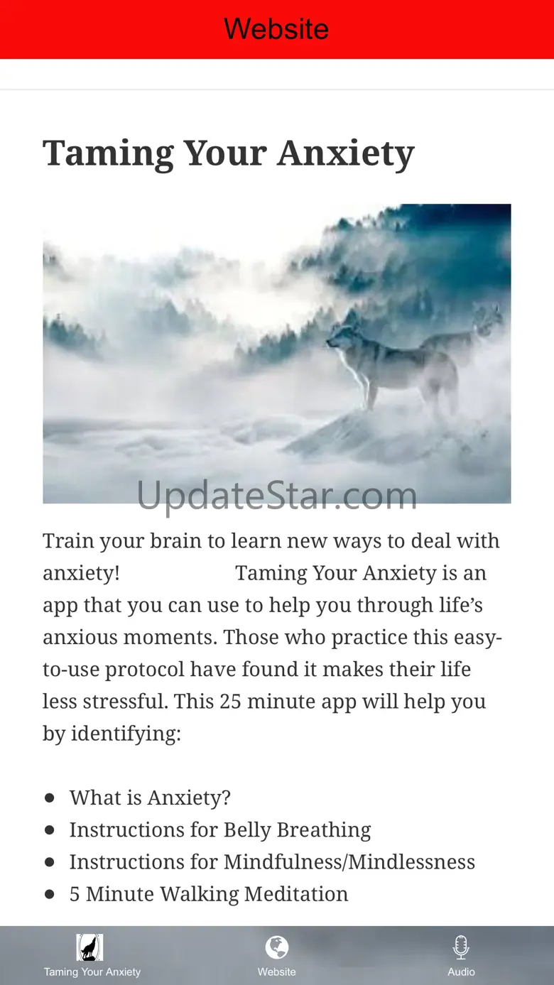 Taming Your Anxiety 1.3