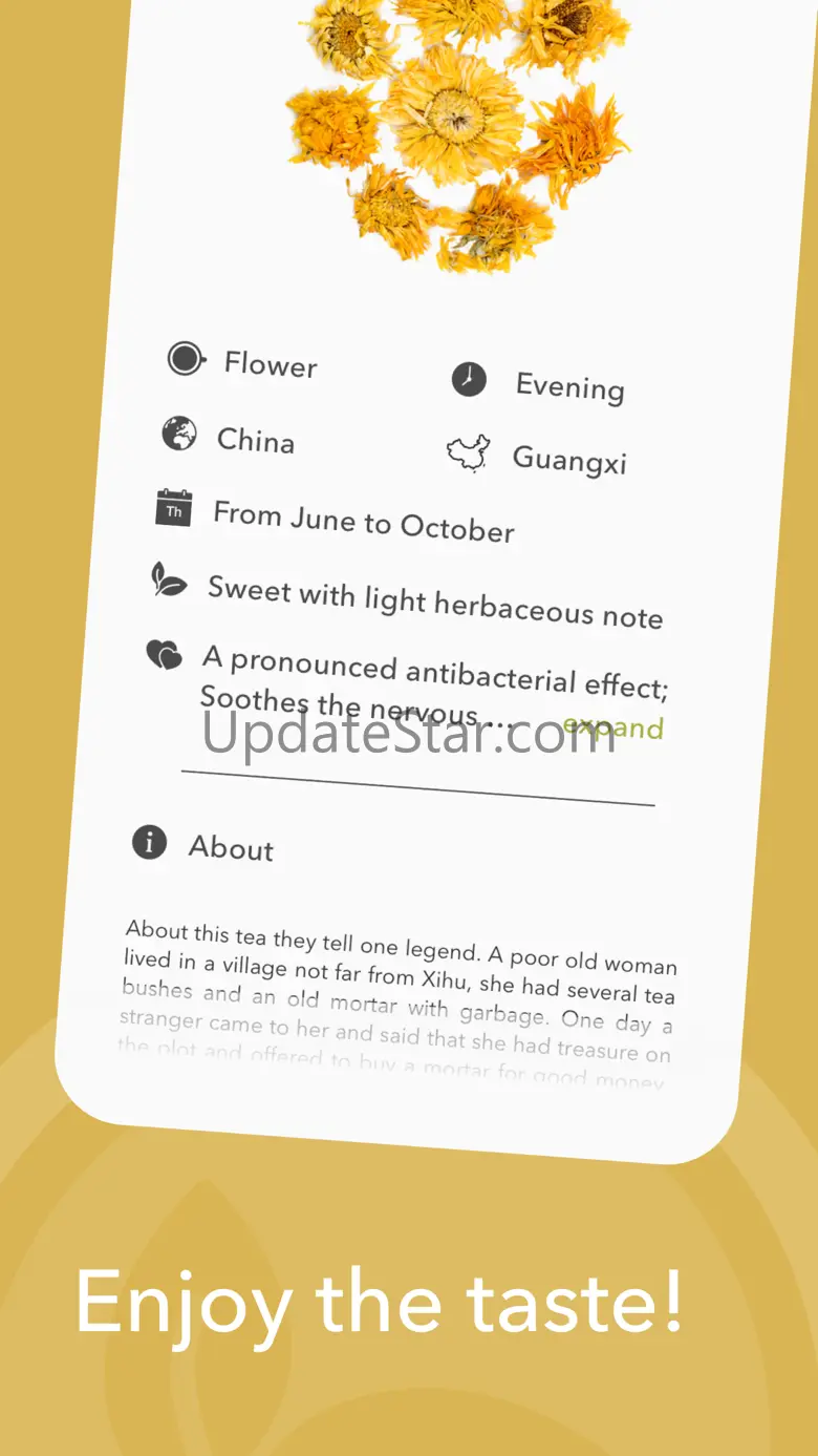 The Tea: Brewing Guide 1.3