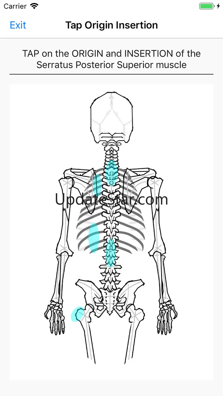 Simple Lines Anatomy 1.1.3
