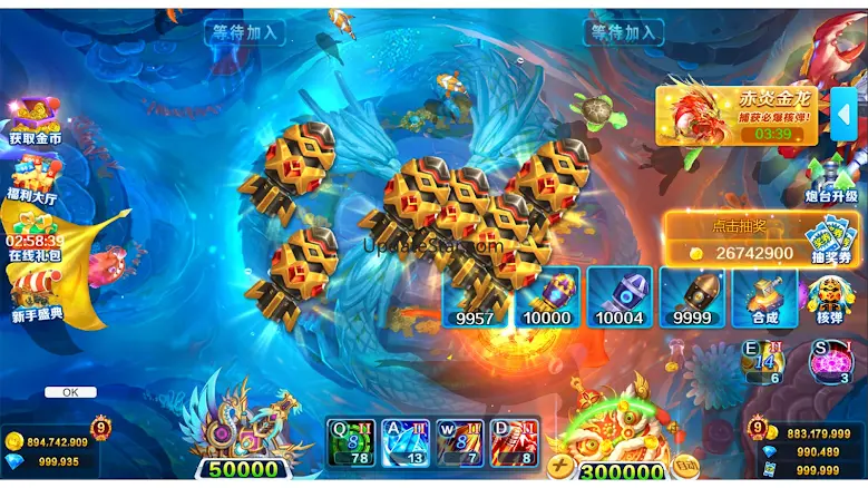 winner fishing-Arcade banca 1.2.11.240712_a
