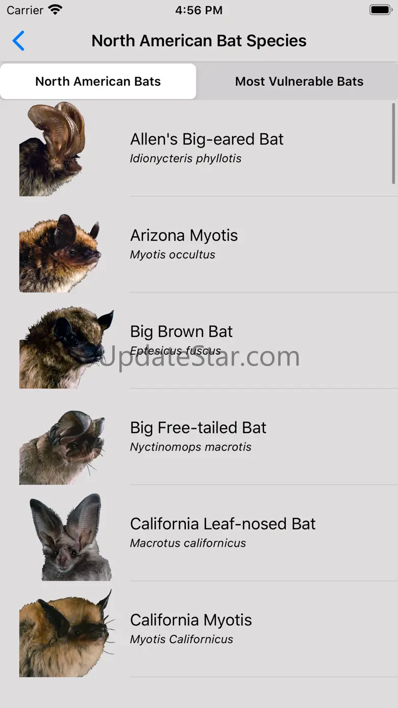 The Bat App 1.1
