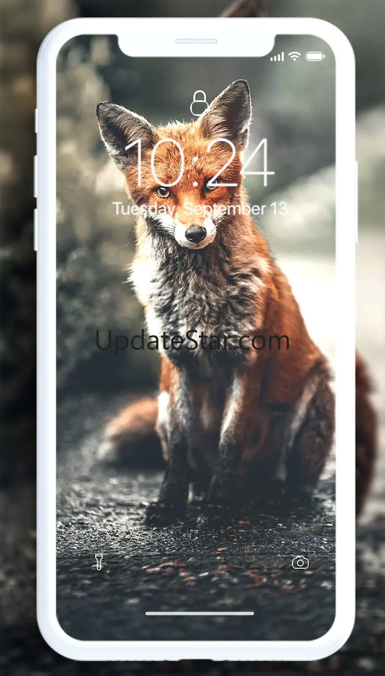 Fox Wallpaper 1.0.6