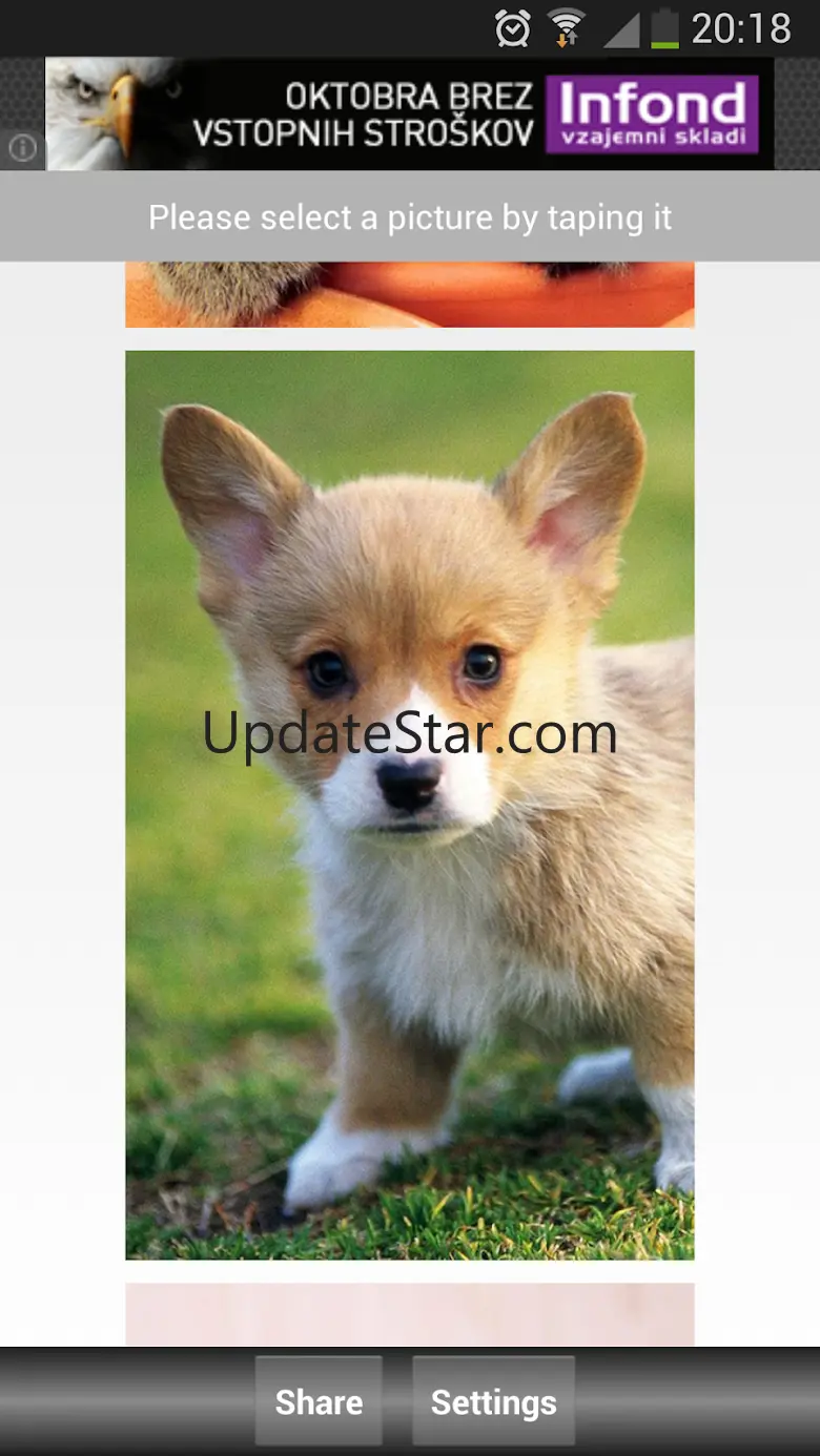 Jigsaw Puzzle: Cute Animals