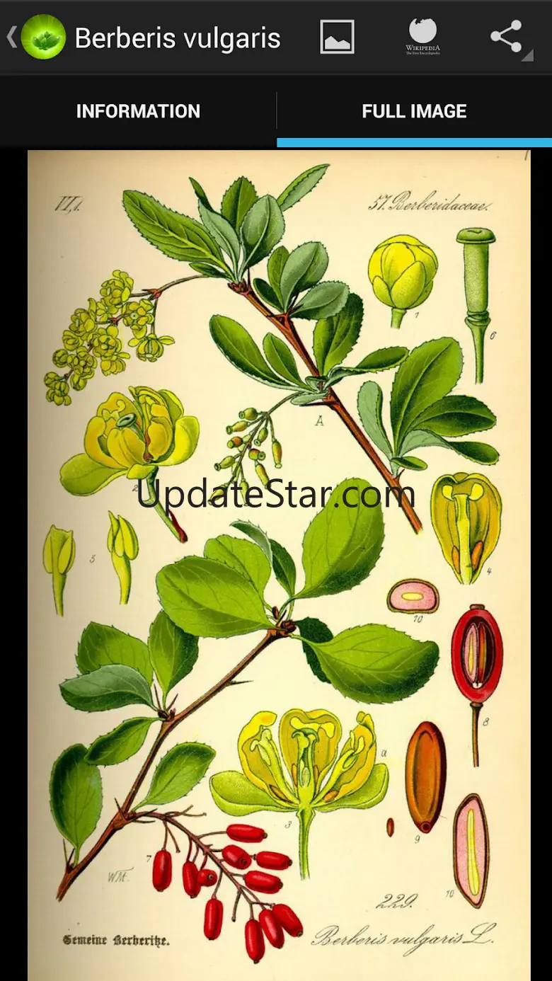 Medicinal plants 1.7.0
