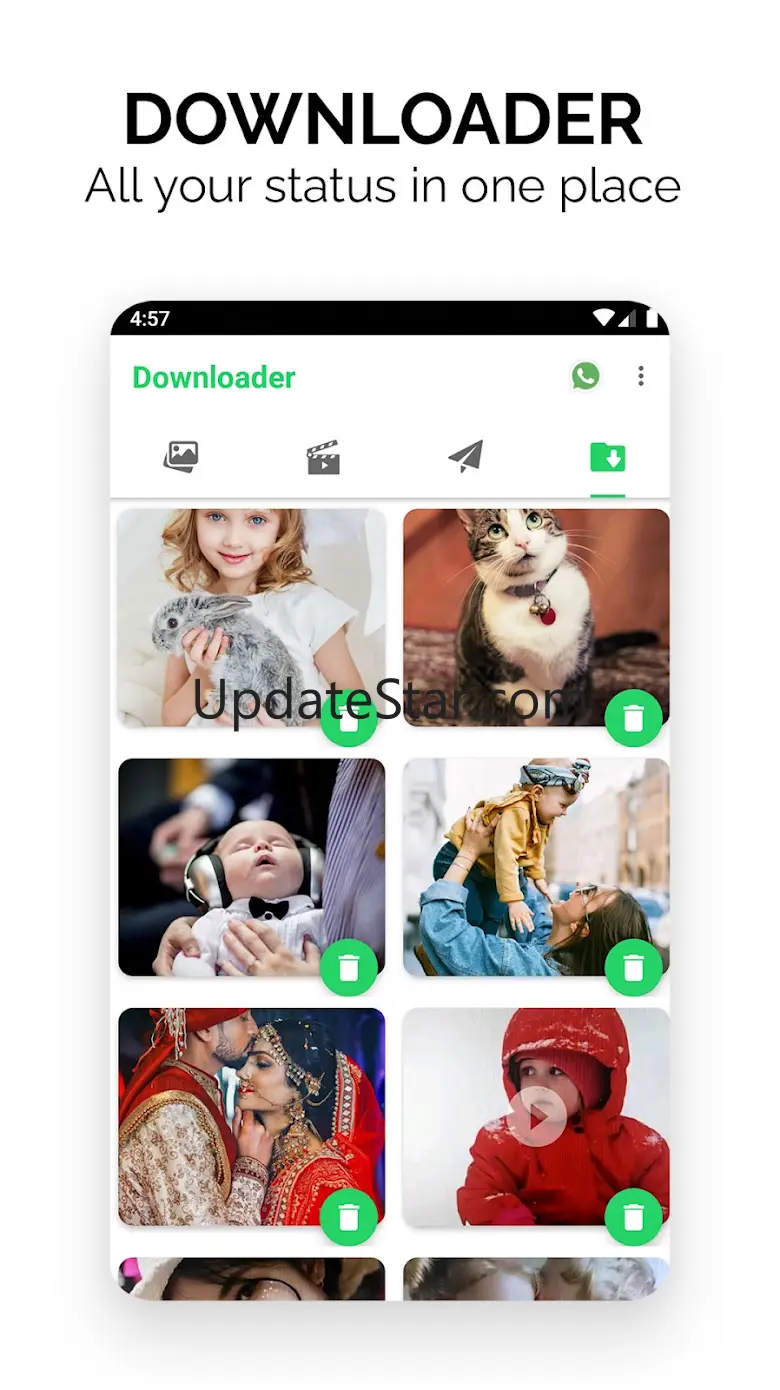Web Scanner 2.8.291022