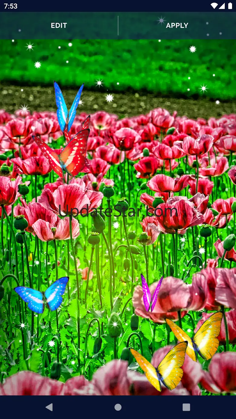 Butterfly Flowers Wallpapers 6.10.22