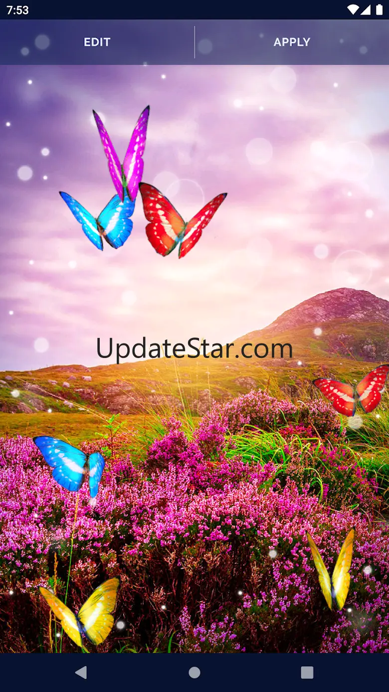 Butterfly Flowers Wallpapers 6.10.22