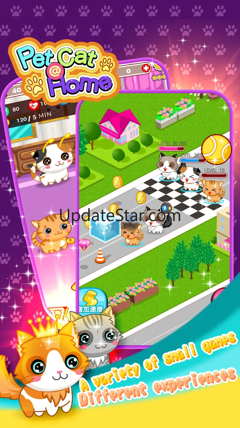 Pet Cat at Home 1.7