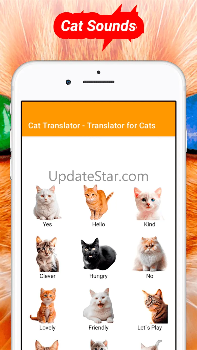 Translator for Cats Prank 10.1
