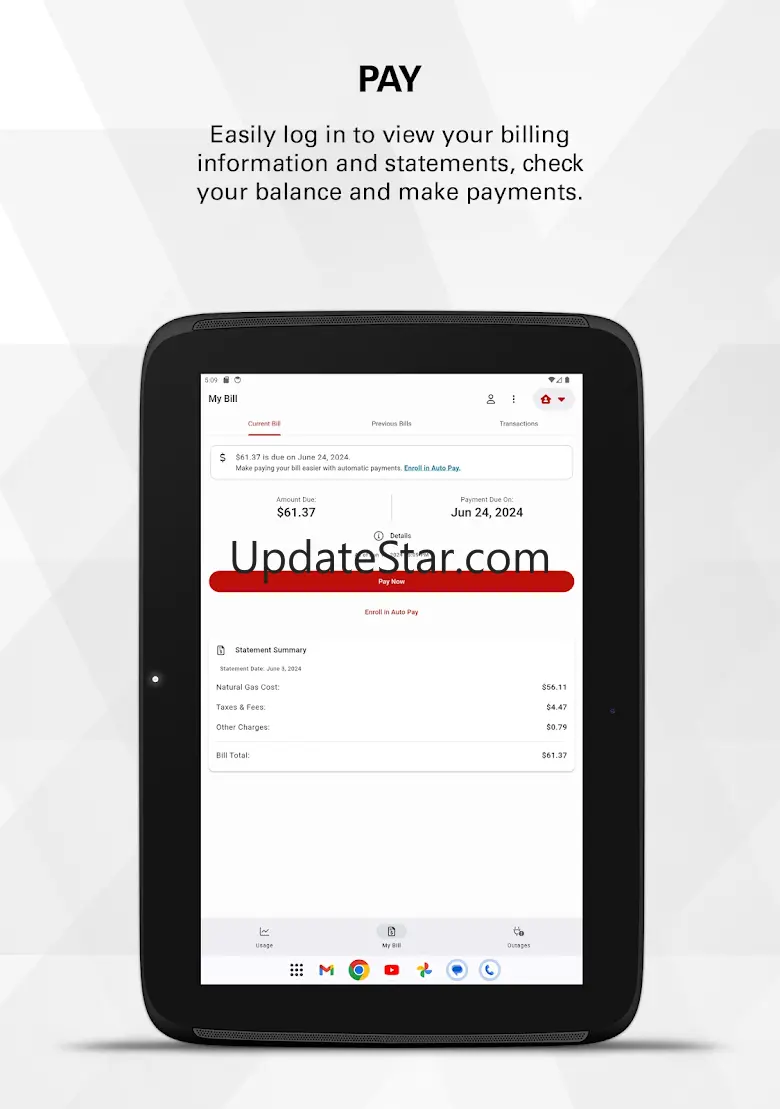 Xcel Energy 1.1.1