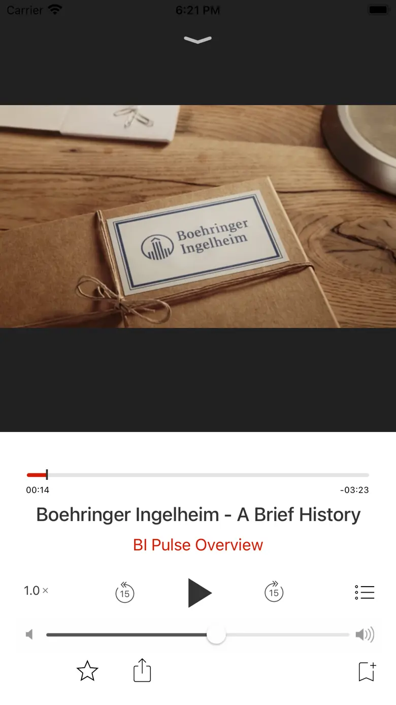 Boehringer Pulse 5.3.1