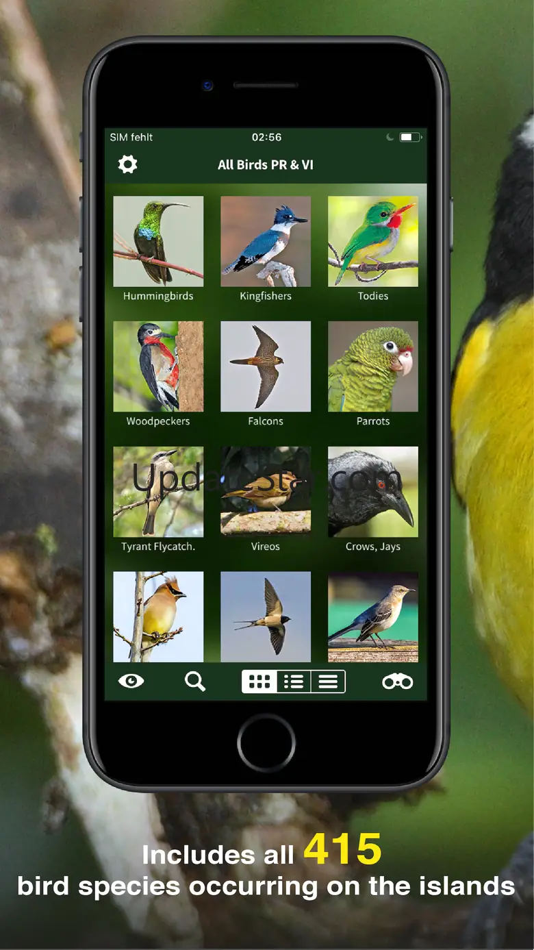 All Birds PR -> Antigua 1.1