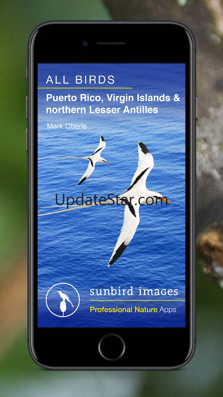 All Birds PR -> Antigua 1.1