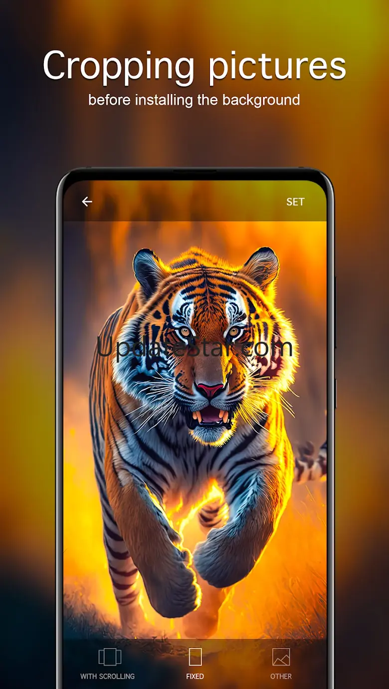 Tiger Wallpapers 4K 5.8.04