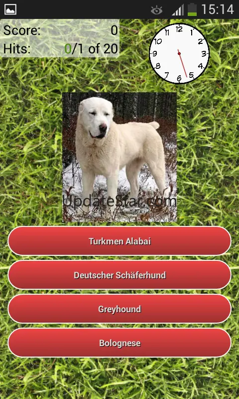 Dog Breeds Quiz 3.1