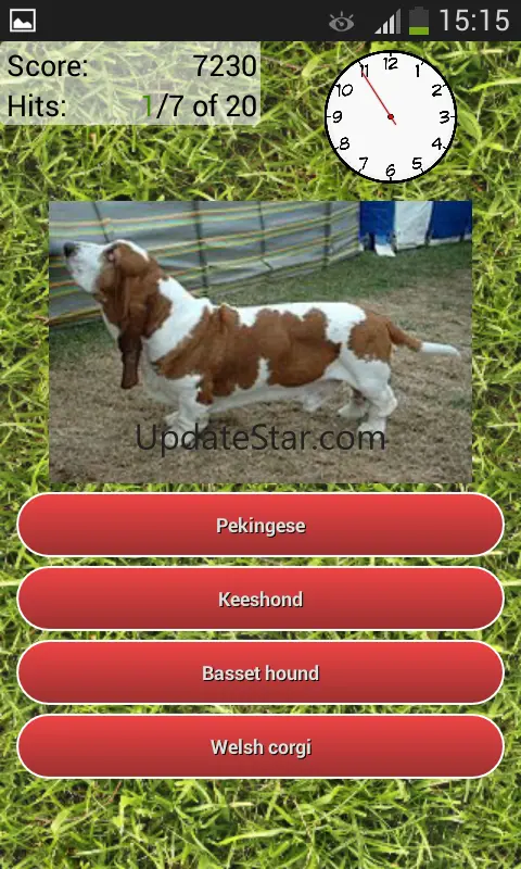 Dog Breeds Quiz 3.1