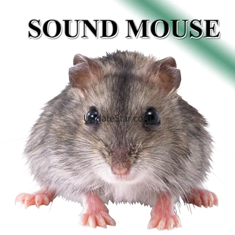Rat mice 5.0