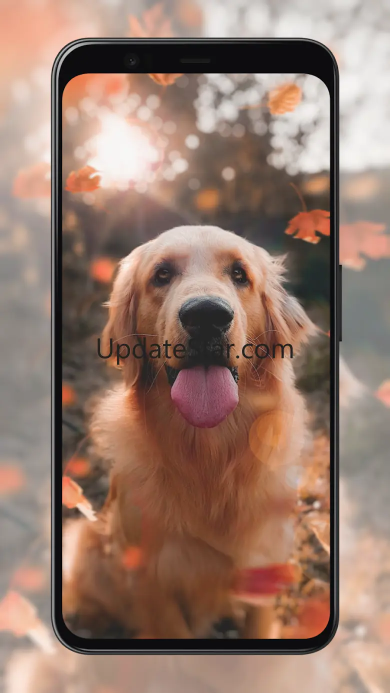 Dog Wallpapers 4.3.1
