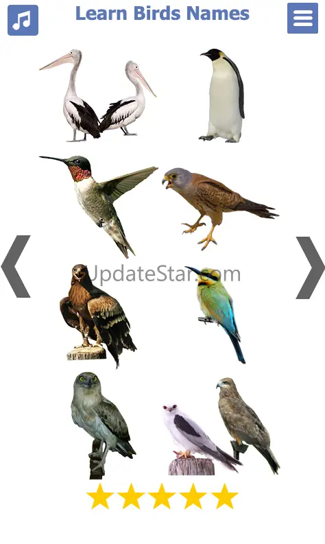 Birds Name: Learn & Listen 1.1.14