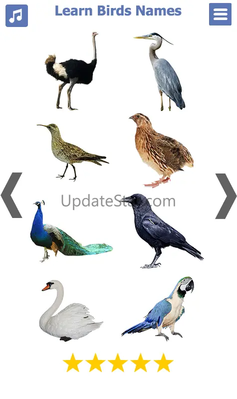 Birds Name: Learn & Listen 1.1.14