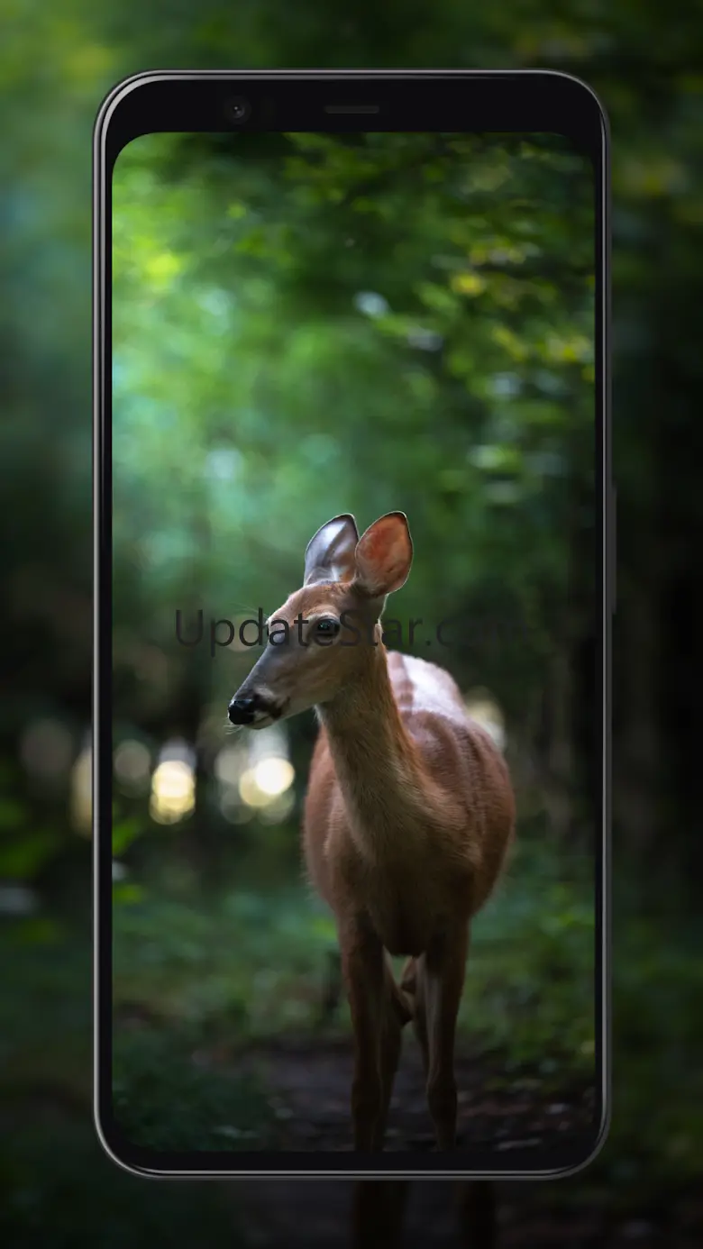 Deer Wallpapers 9.0.7