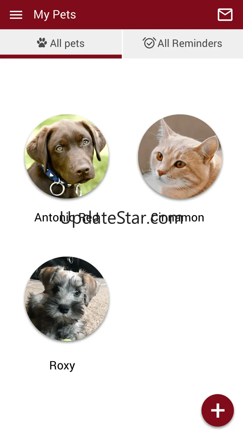 Noahs Ark Pet Hospital 300000.3.22