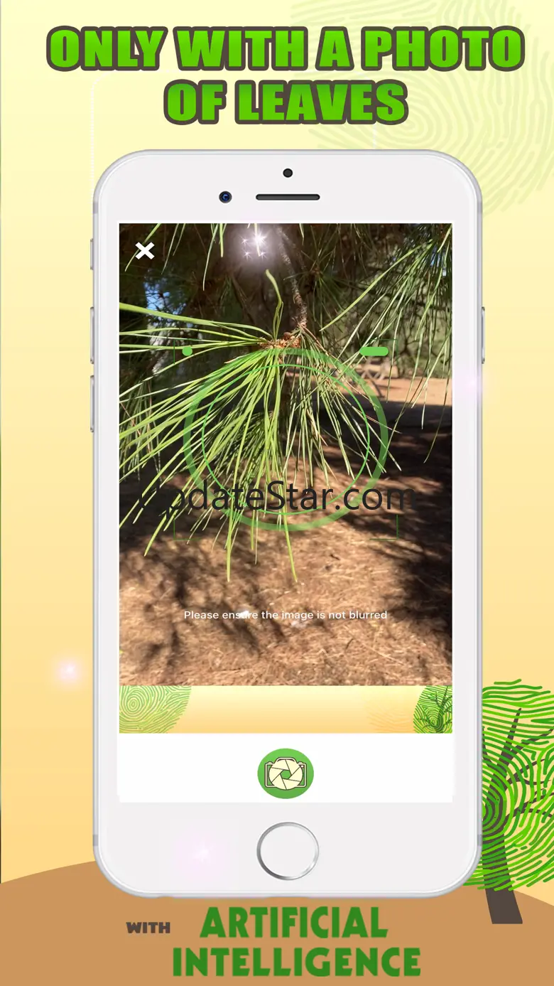 Tree Identification with AI 1.6
