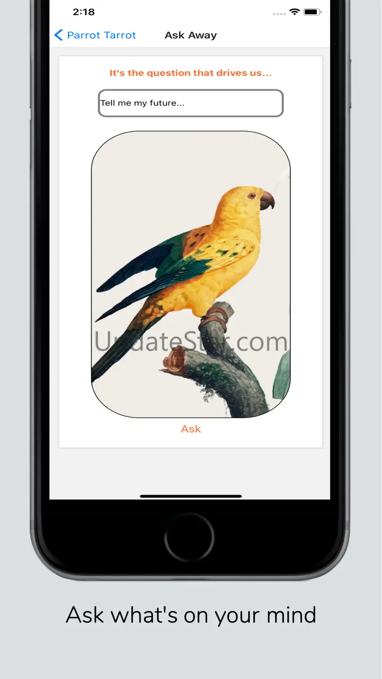 Parrot Tarot - Daily Reading 1.1
