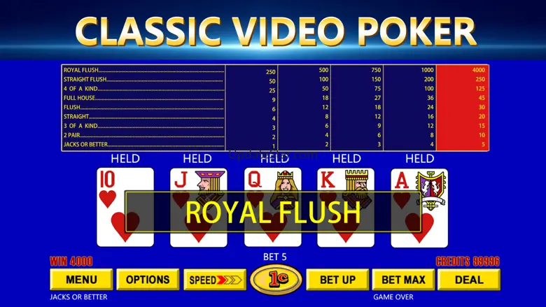 Pocket Video Poker King 1.0