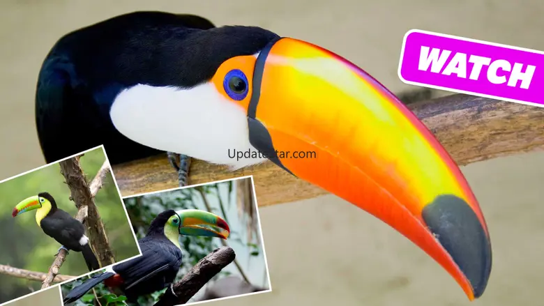 Animal Sounds, Photos and Info 1.1.2