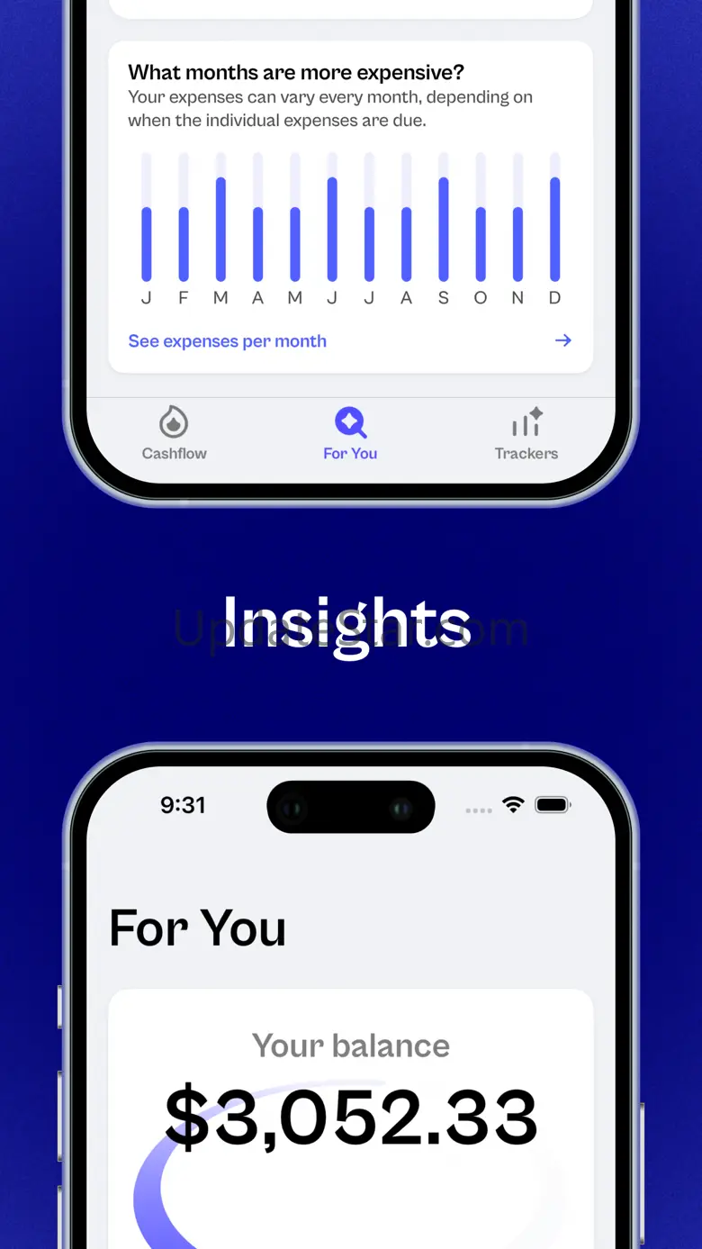 Budget Planner – Cirka 1.9.27