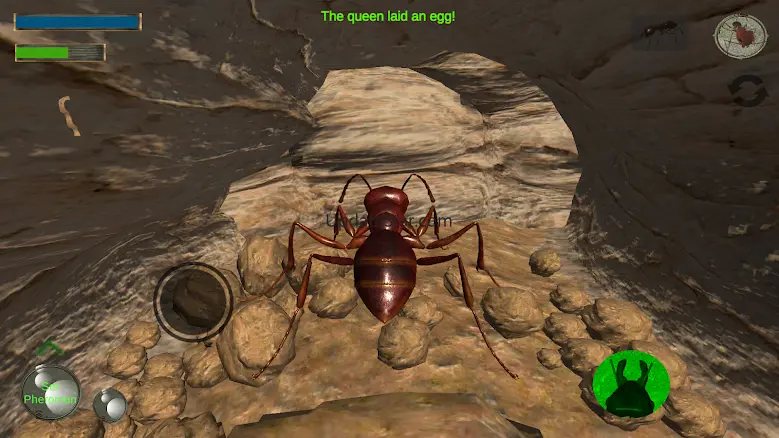 Ant Simulation 3D 2.3.1