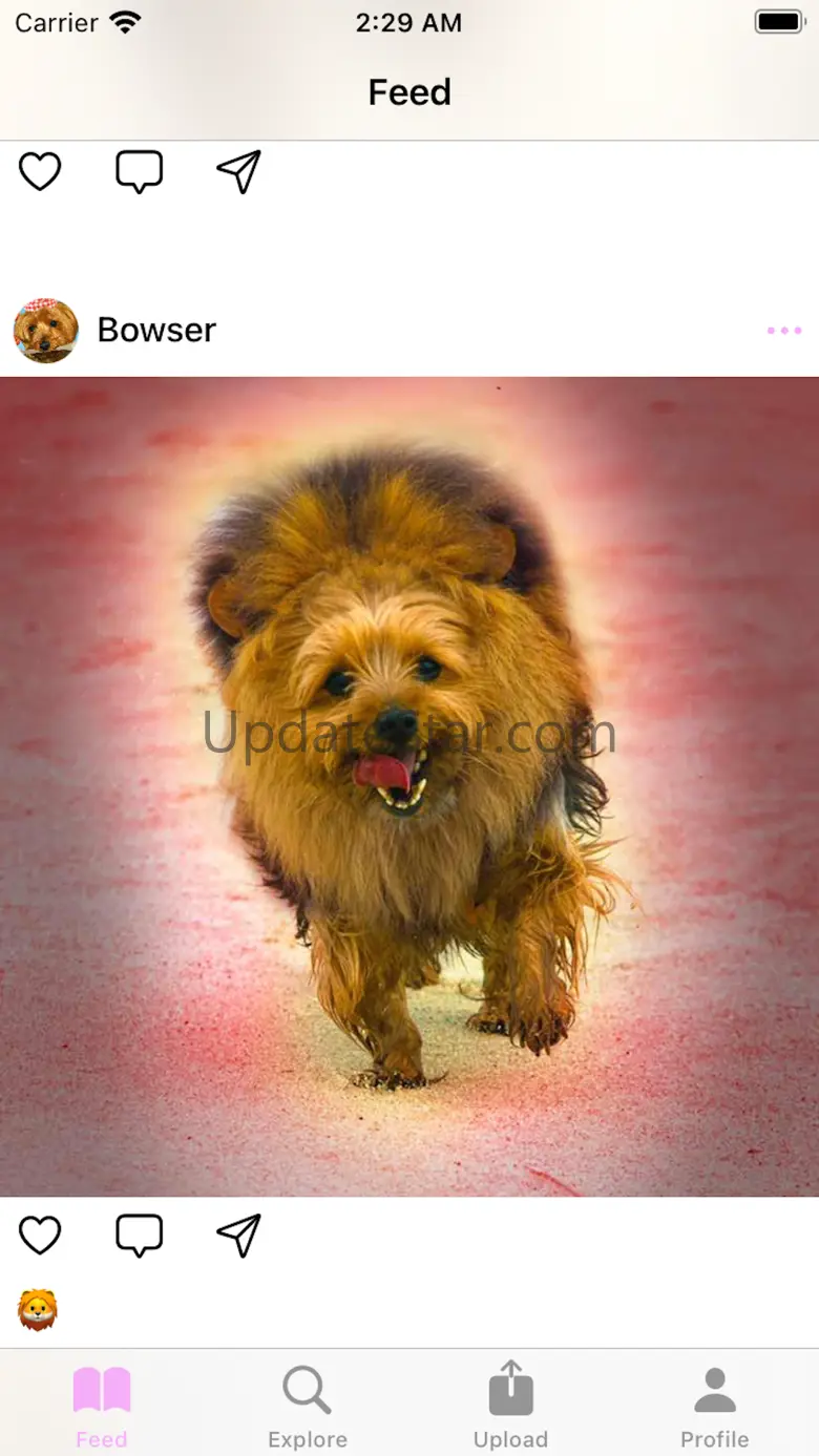 PetPixels 1.0
